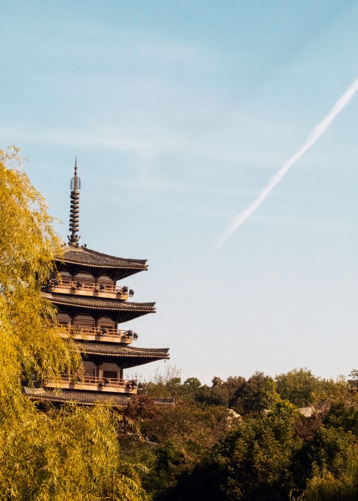 gallery-6 Beautiful view of Chureito Pagoda surrounded by fall foliage under a clear sky in Japan.