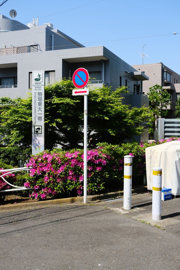 Colorful street view in Meguro City, Tokyo, featuring lush plants and a no-parking sign.